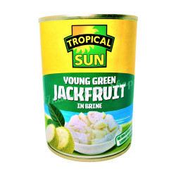 Tropical Sun Jackfruit In Brine 560g 